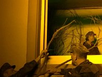 2018-05-06-PHOTO-00002549